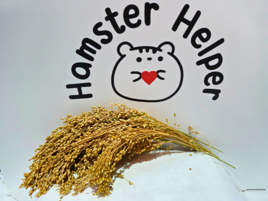 Bunch of panic grass with 'Hamster Helper' logo featuring a hamster face on a white background