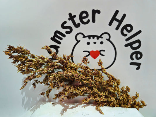 Sudan Grass Sprays for Hamsters