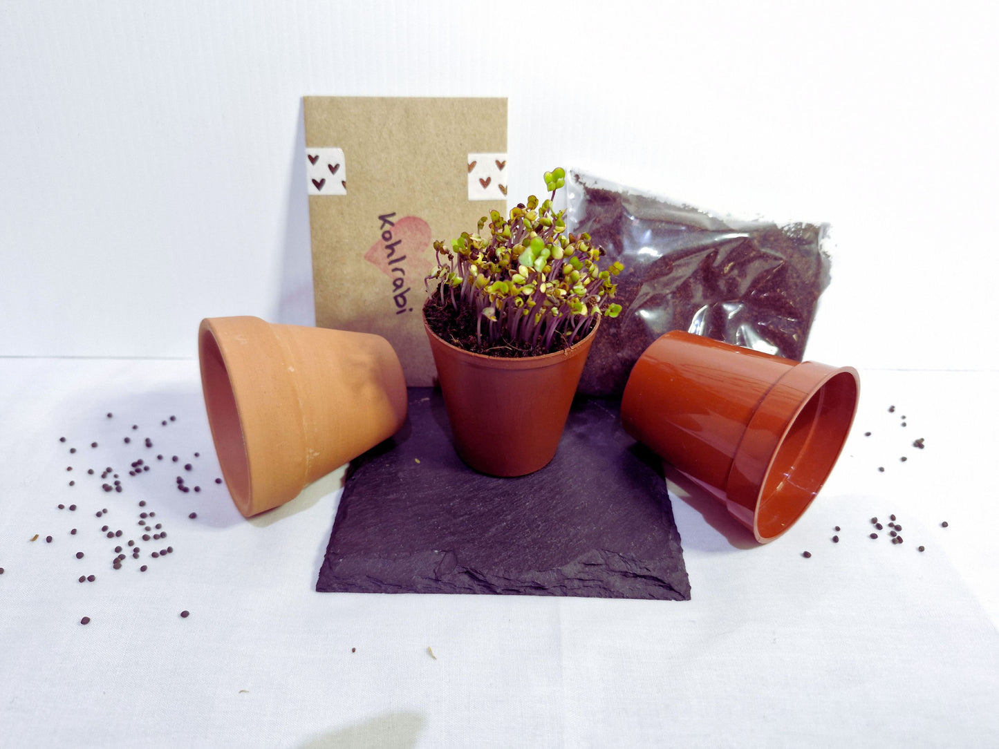Kholrabi microgreen kit