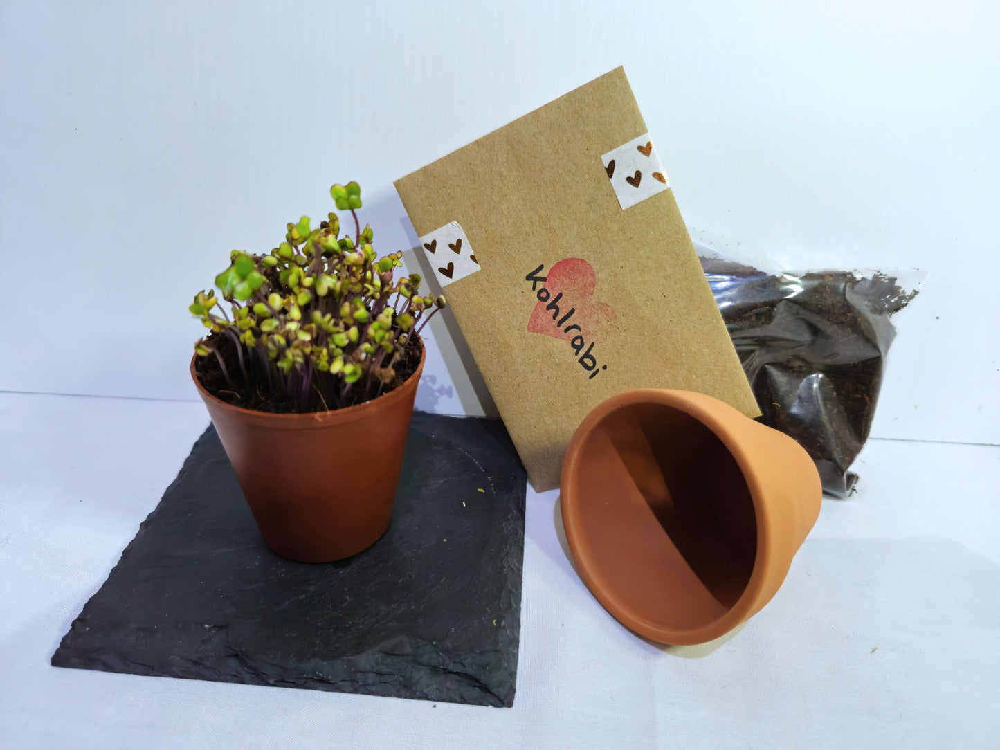 Kholrabi microgreen kit