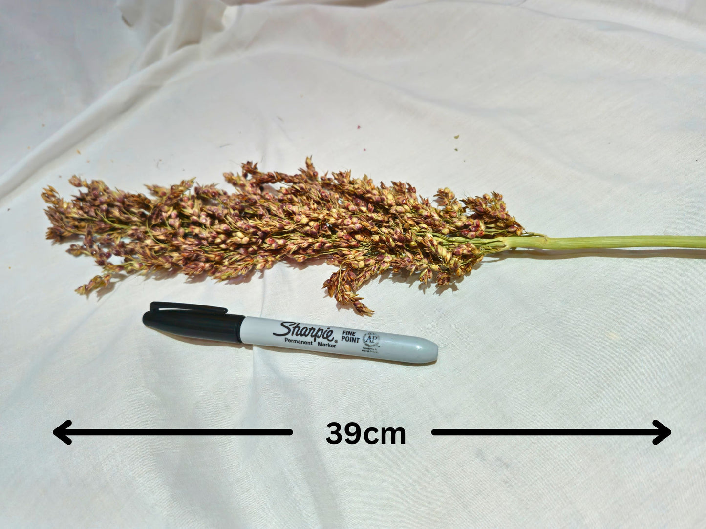 Sudan Grass Sprays for Hamsters