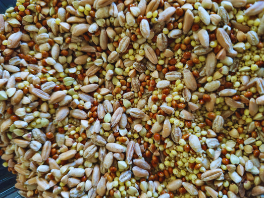 A close up of the golden grains hamster treat mix