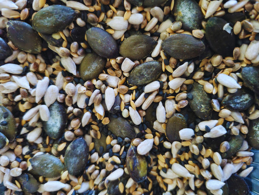 A close up of the seed sensation hamster treat mix.