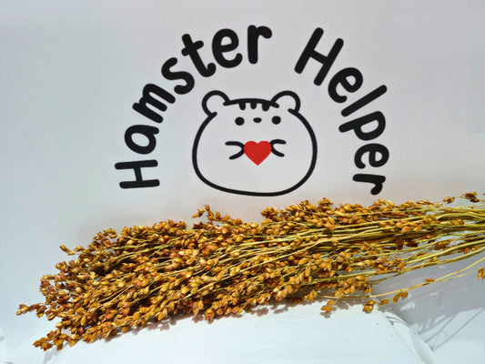 Hamster safe broom millet in front of the hamster helper logo