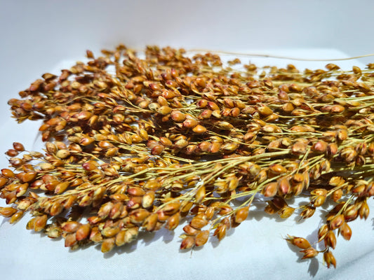 A close up of hamster safe broom millet