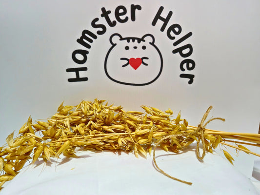 Hamster oat sprays in front of the hamster helper logo