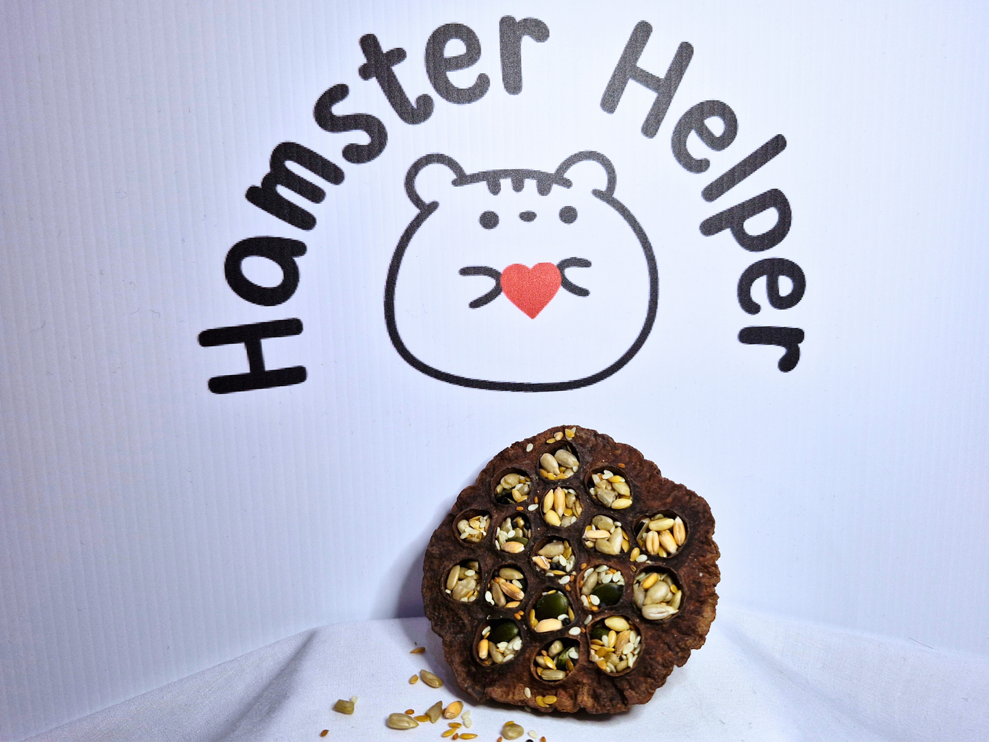 A hamster safe stuffed lotus pod stuffed with seeds and grains.