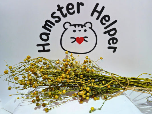 Hamster safe flax sprays in front of the hamster helper logo