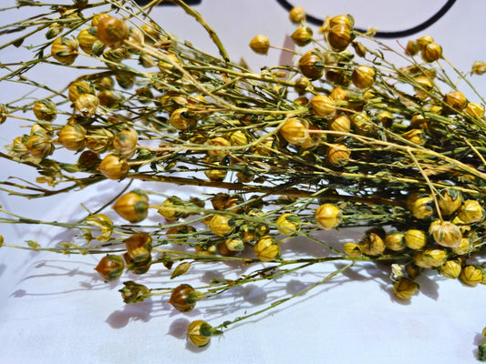 A close up of hamster safe flax sprays