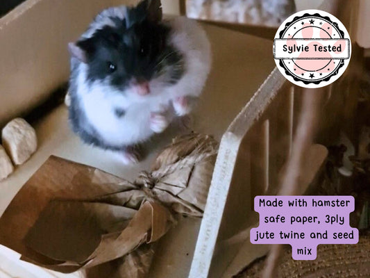 A cute hamster sat next to a boredom breaker