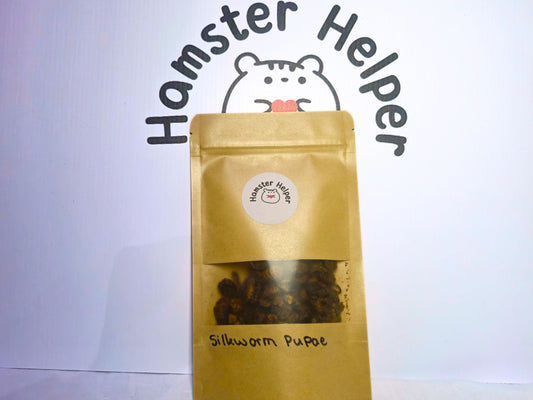 Silkworm Pupae - Hamster Safe Dried Insects