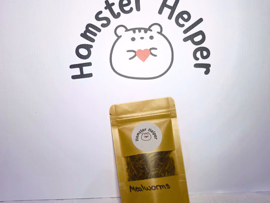 Bug Buffet Taster Pack - Dried Insect Treats for Hamsters