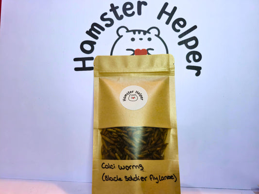 Calci worms – Black solider fly larvae - Hamster Insect Treat