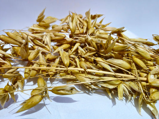 A close up of hamster safe oat sprays