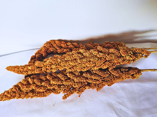 Red Millet Sprays for Hamsters – Pack of 3 Natural Foraging Sprays