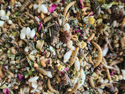 Complete Dwarf Hamster Food