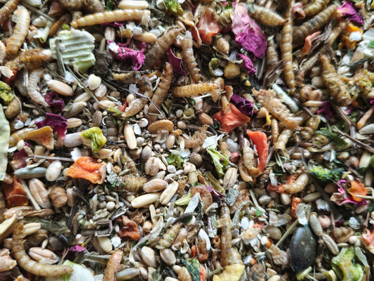 Complete Syrian Hamster Food