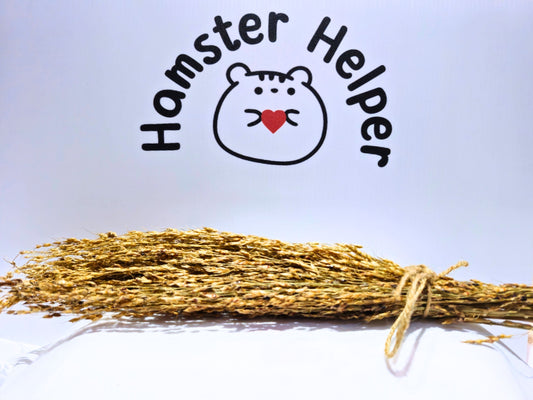 Hamster safe Delicia sprays in front of the Hamster Helper Logo