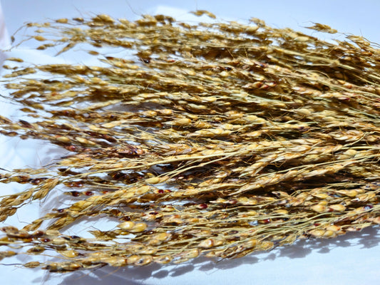 A close up of hamster safe delicia sprays