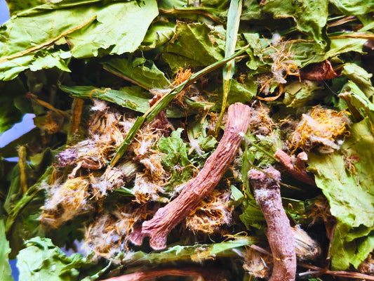 A close up of the dandelion forage, showing the dandelion leaves, dandelion flowers and dandelion roots.