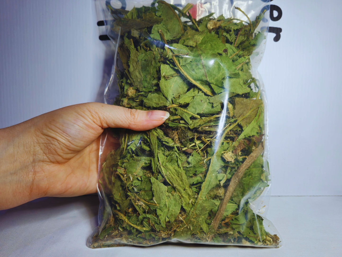 The dandelion forage in a bag being held by a hand so you can see how much forage your hamster will get.