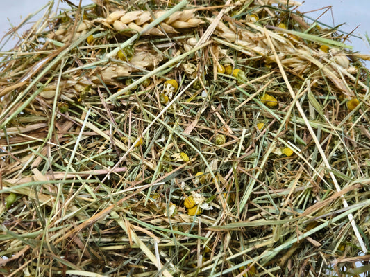 Wheat & Chamomile Meadow Hay Blend