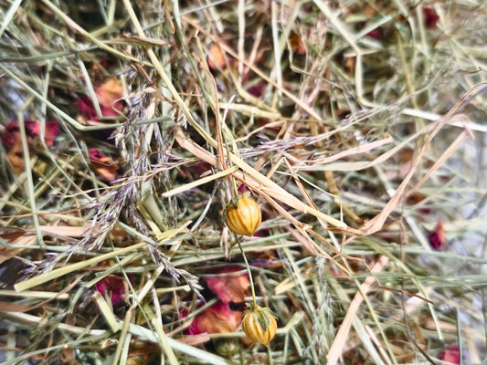 Rose Meadow Hay Blend (with Flax) – Hamster Foraging Hay