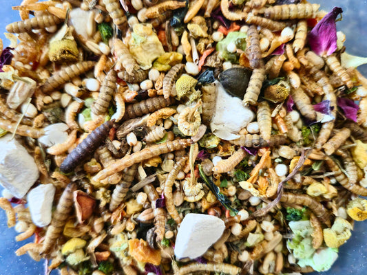 Complete Senior Syrian Hamster Food
