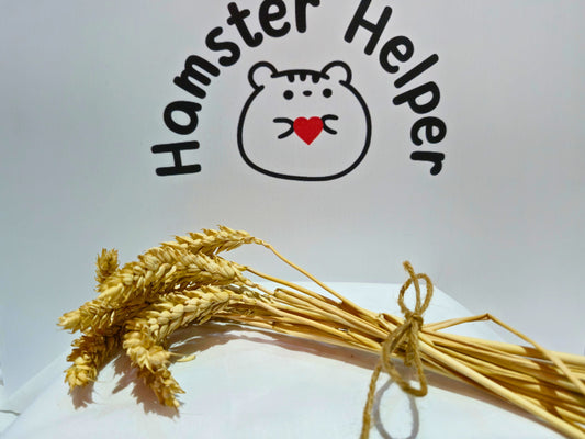 Wheat sprays in front of the hamster helper logo