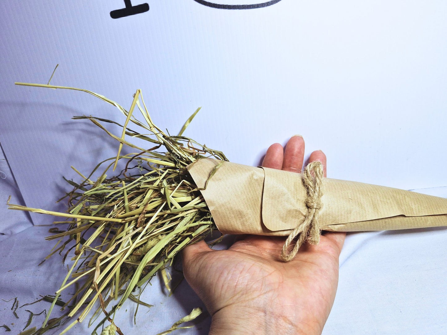 The hamster carrot chew toy in a hand to give the idea of what size it is.