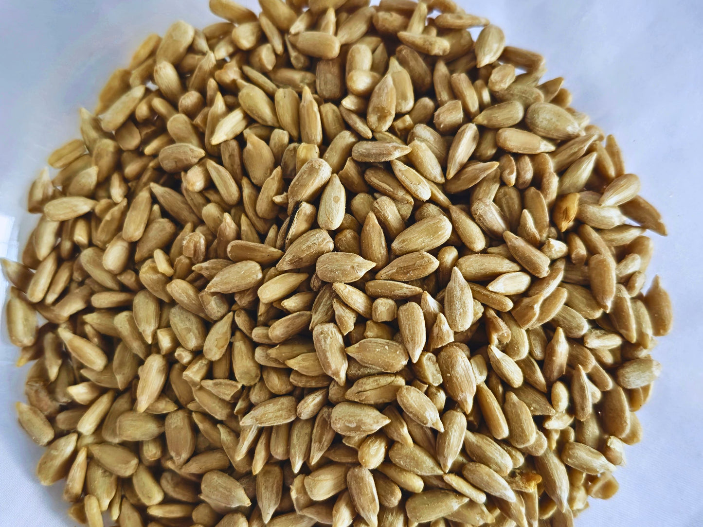 Sunflower Hearts for Hamsters – Natural Enrichment Treat (60g)