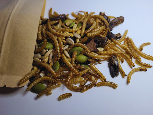 A close up of the protein powerhouse hamster treat mix containing mealworms, crickets, seeds and grains.