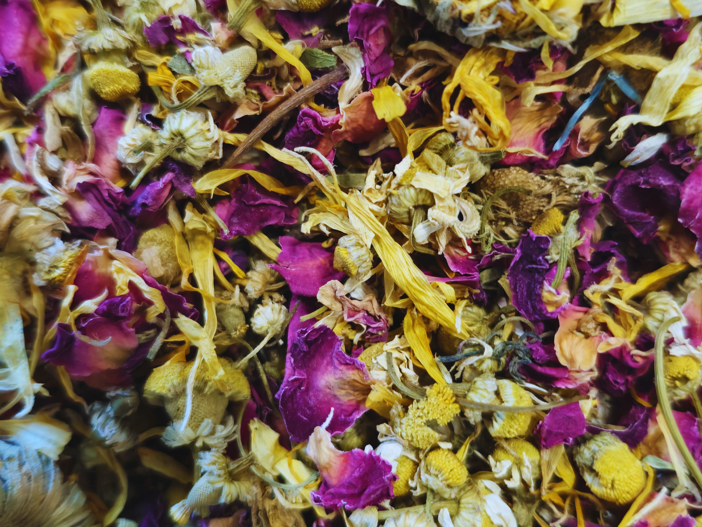 A close up of the hamster flower forage showing that it contains rose petals, chamomile and marigold heads.