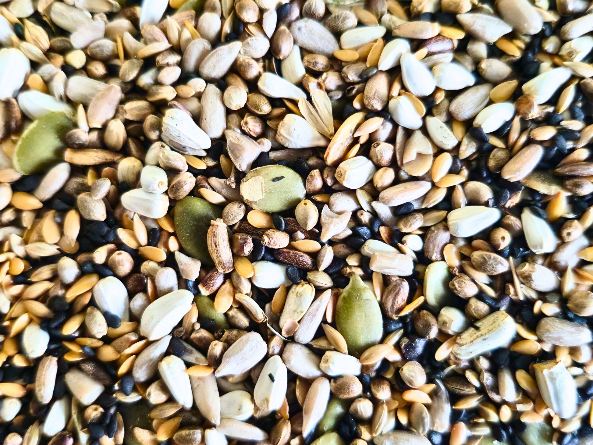 Close-up of the eight-seed Seed Sensation hamster treat mix