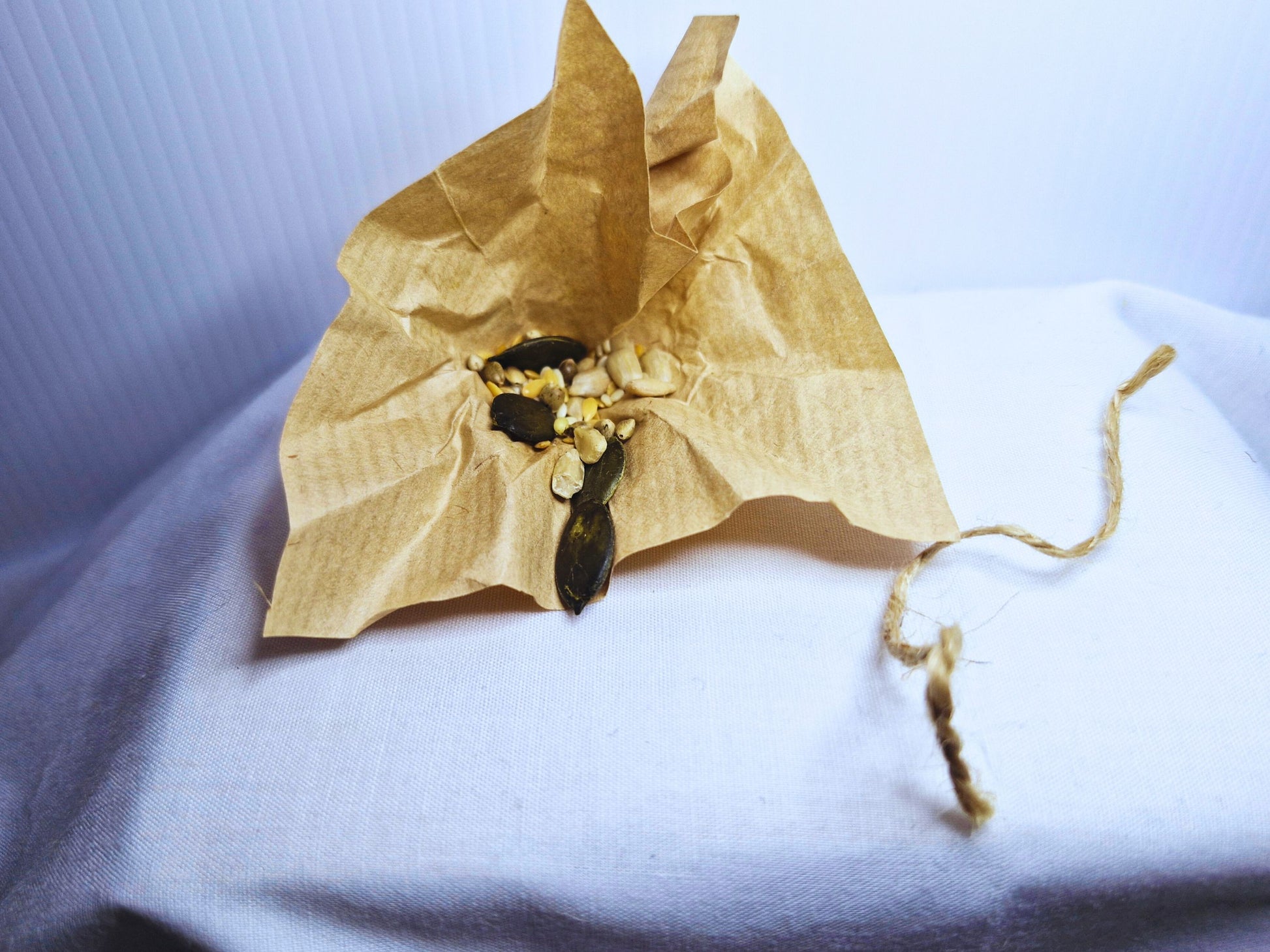 The inside of a hamster easter egg showing that it's filled with seeds and tied with jute twine.