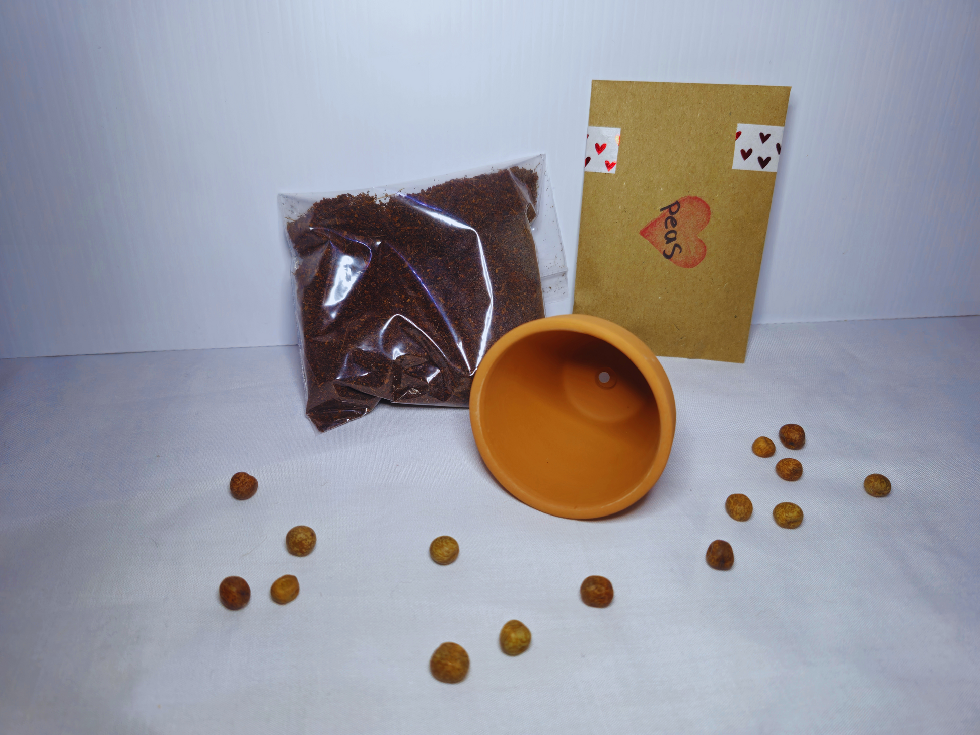 A hamster safe microgreen kit with a terracotta pot showing hamster safe soil, a terracotta pot and some pea seeds.