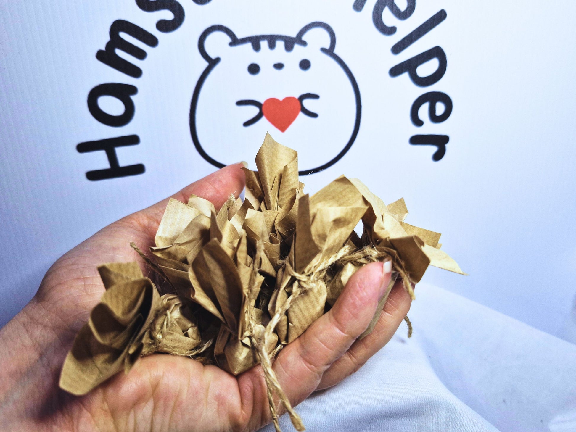 A hand holding all 12 hamster Easter Eggs