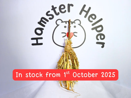 Hamster Halloween Broom Coconut Chew