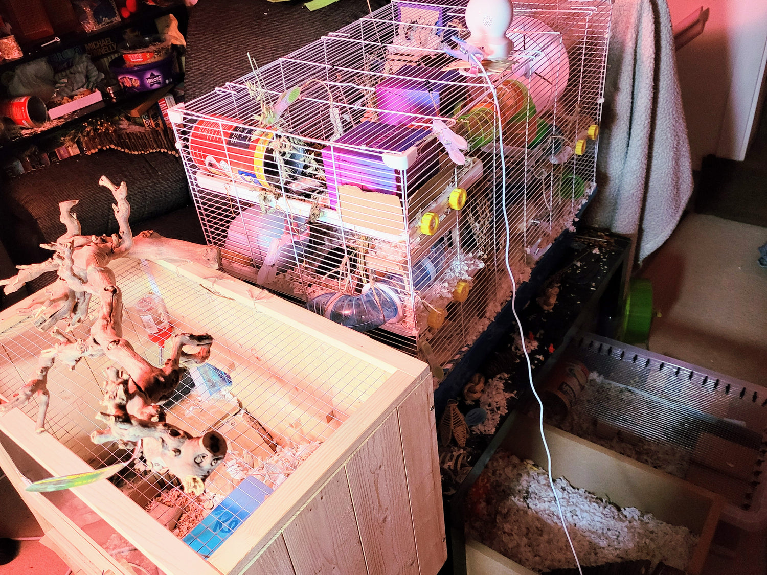 Two hamster cages joined together, beneath the table that the hamster cage is on is a hamster dig box and a hamster play pen
