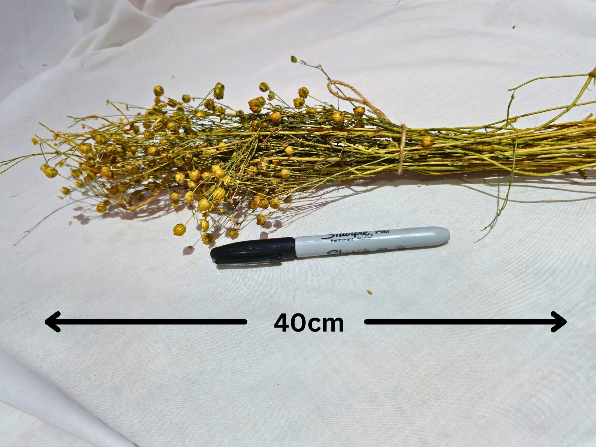 Hamster safe flax sprays with a pen for scale