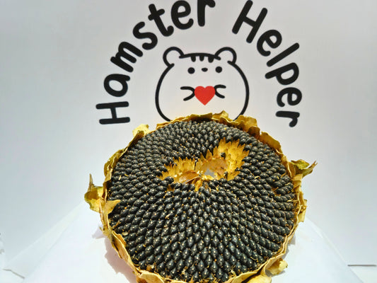 A hamster safe sunflower head in front of the hamster helper logo