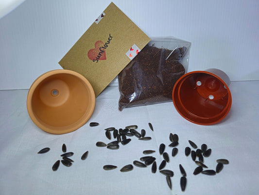 Sunflower microgreen kit