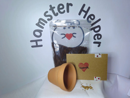 Carrot microgreen kit