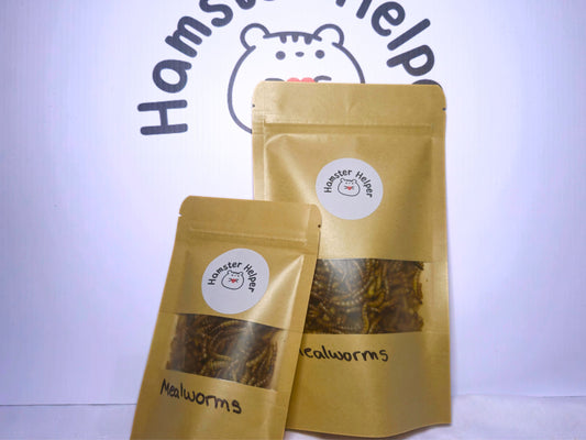 Hamster meal worms