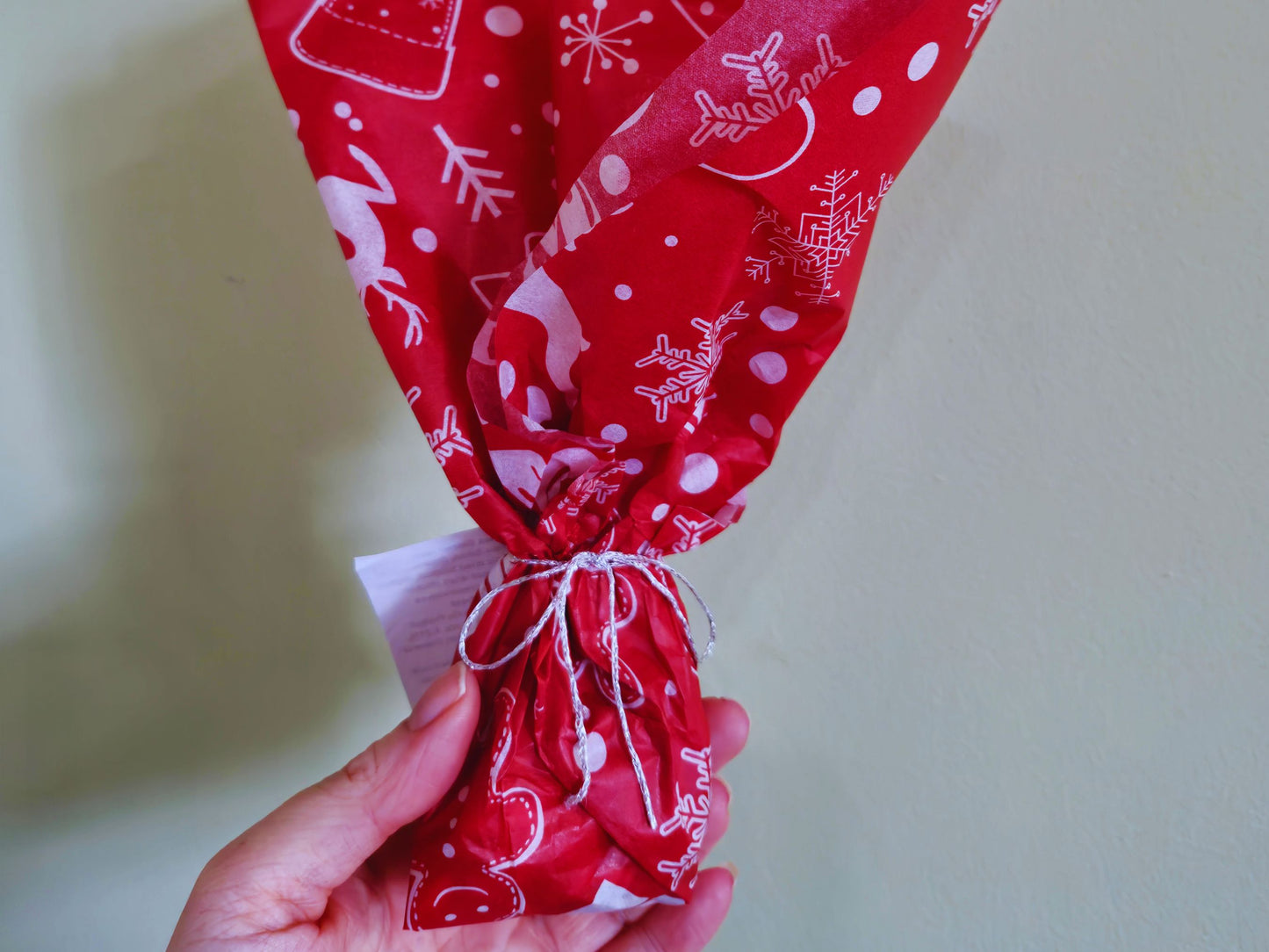 Christmas dinner for hamsters