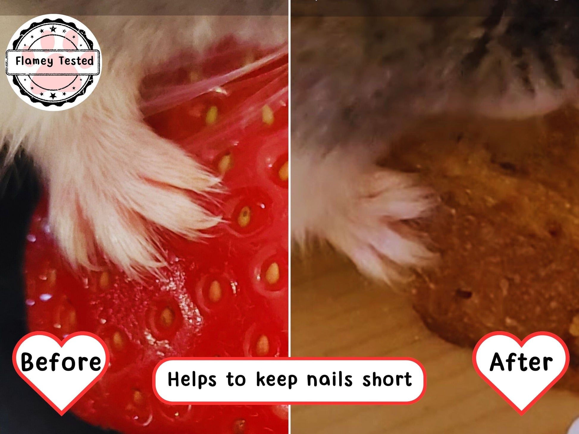 A before and after picture showing how the slate helps to reduce nail length in hamsters. In the first picture the hamsters nails are long and are shown against the background of a strawberry, in the second picture the nails are short and are shown with a toast background