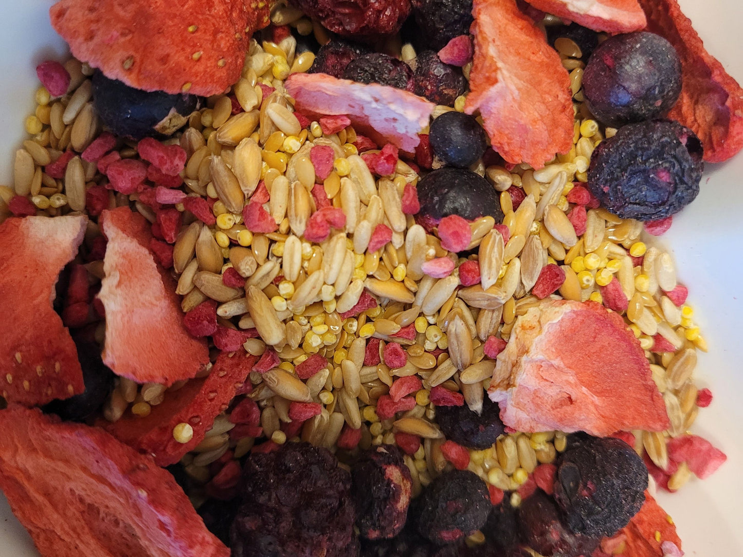 A close up of the berry breakfast hamster  treat mix showing the ingredients including grains and freeze dried fruits.