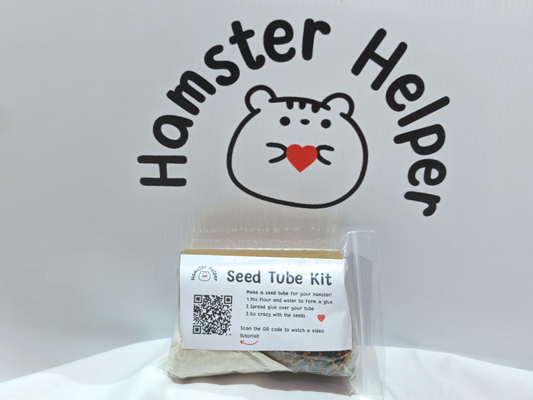 Halloween Seed Tube DIY Kit
