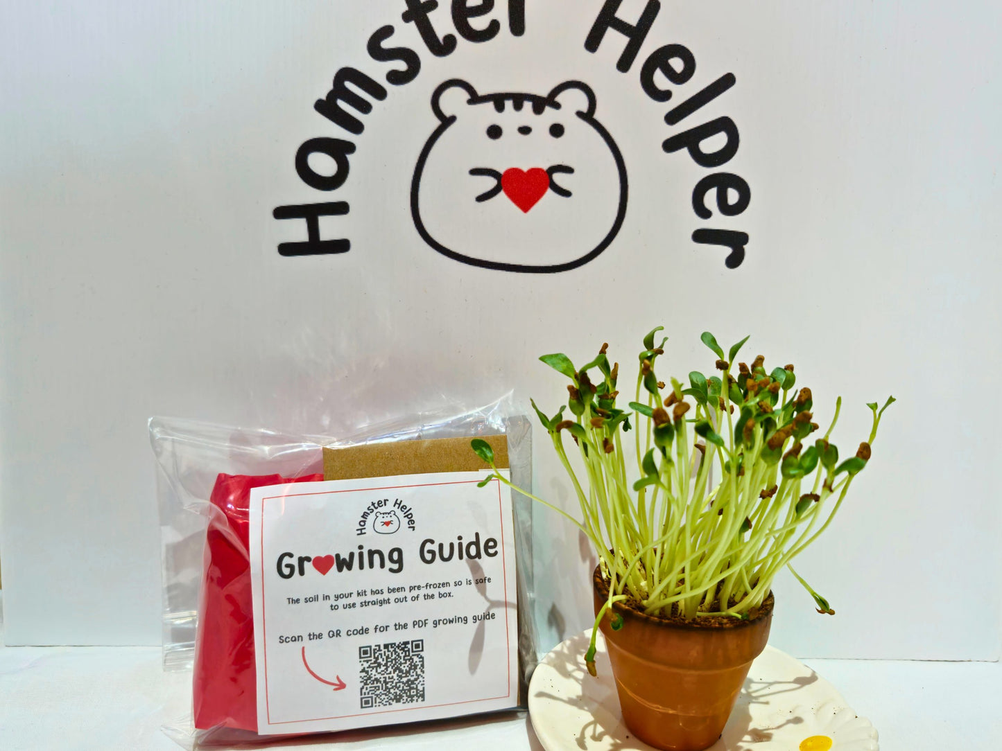 Fenugreek microgreen kit