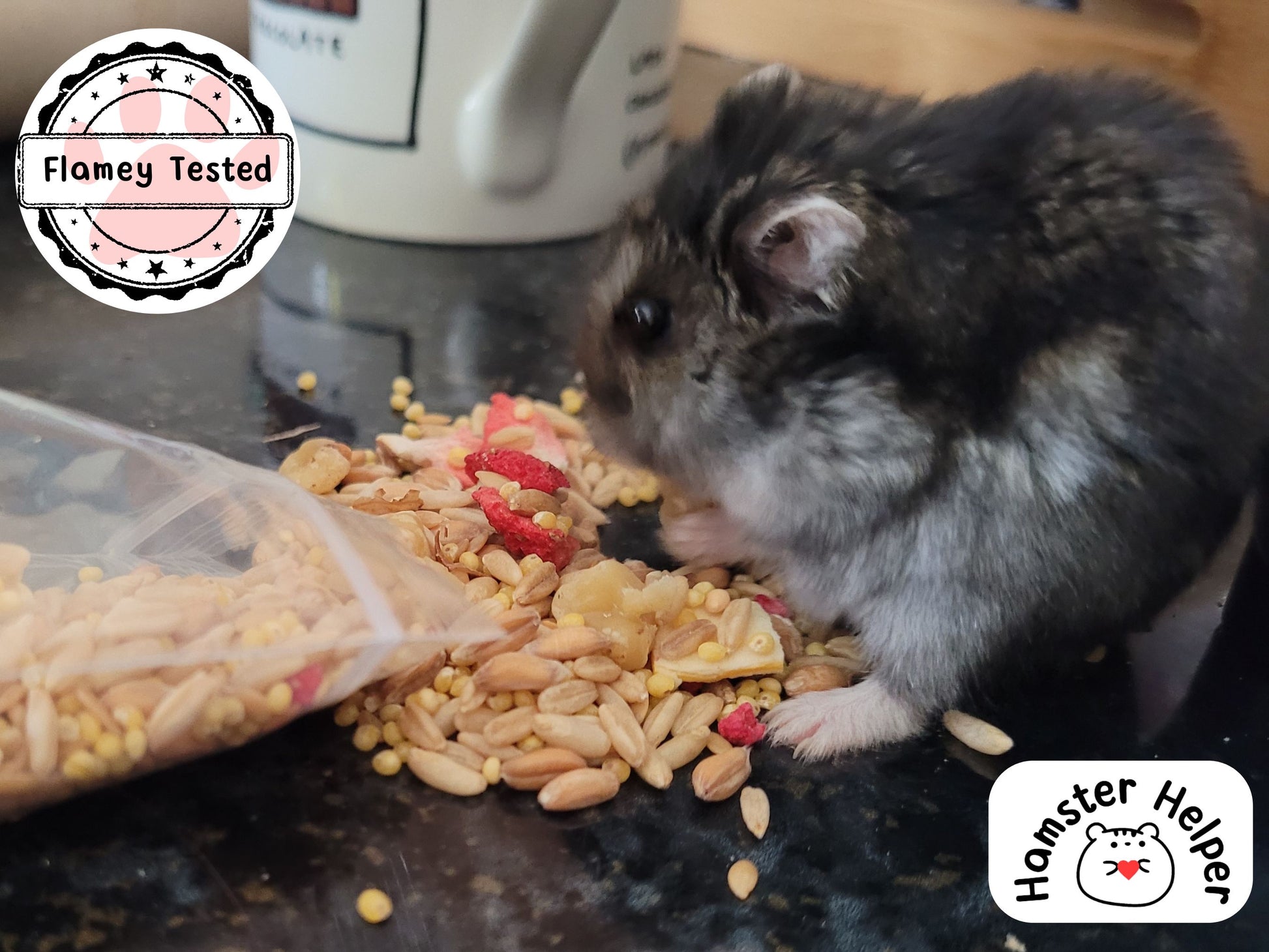 The munchy museli treat mix being eaten by a dwarf hamster.